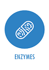 Gelatin enzymes